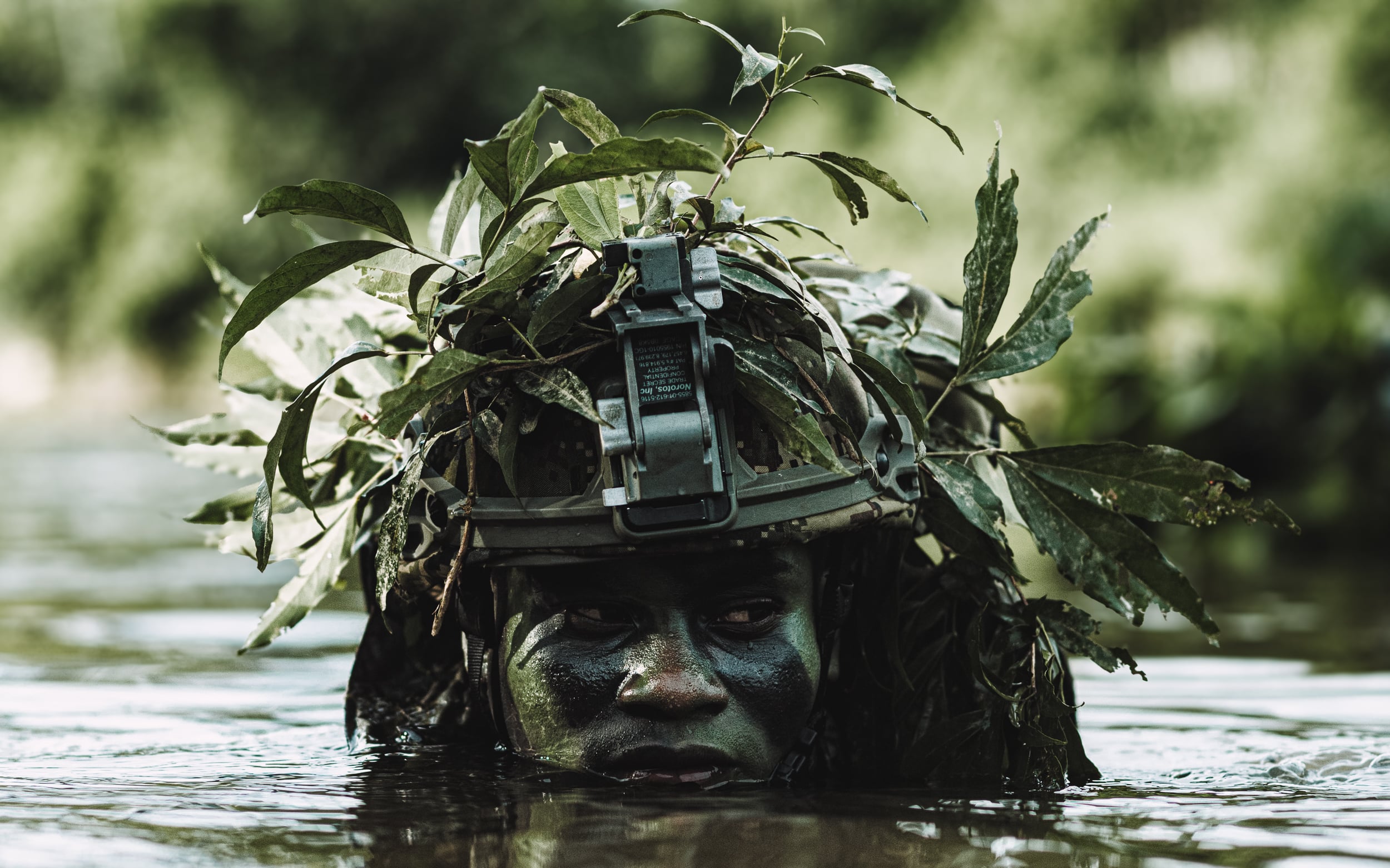 Colombian Armed Forces photograph 29